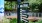 Chamblee Rail Trail