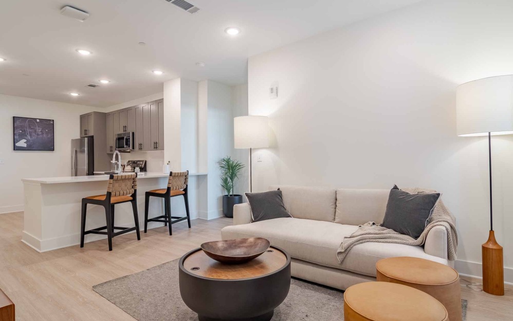 Living Room The Hawkins apartments in Chamblee living room